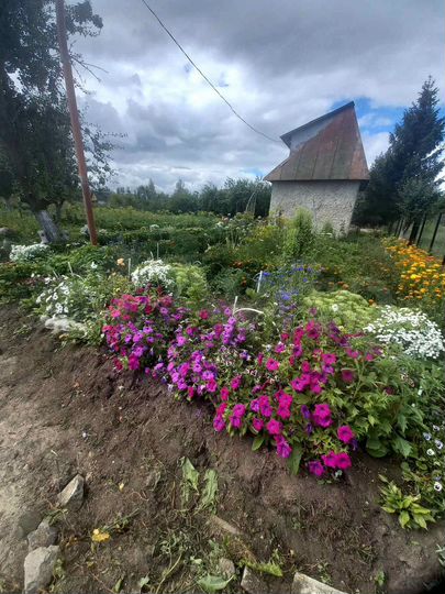 Участок 12 сот. (СНТ, ДНП)