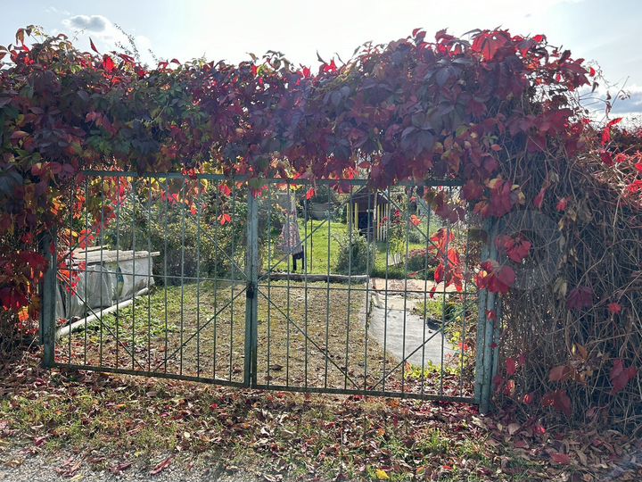 Дача 33,5 м² на участке 5 сот.