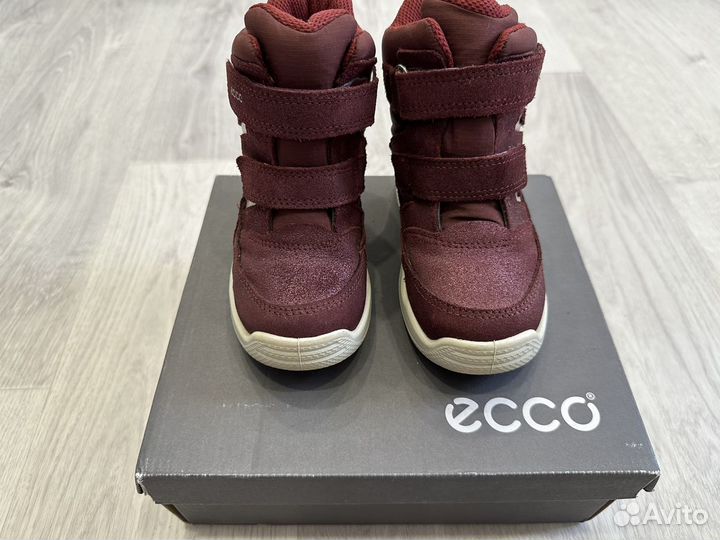 Ecco демисезонные 25