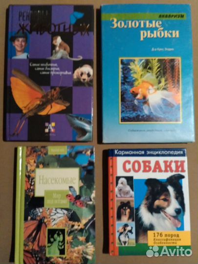 Животные. Насекомые. Аквариум