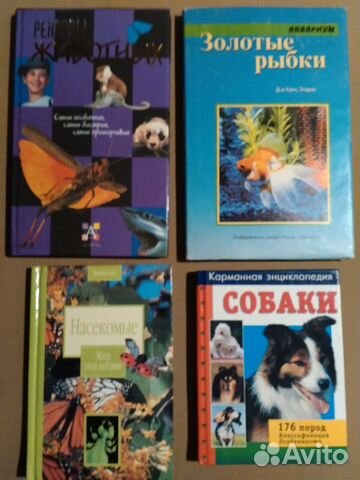 Животные. Насекомые. Аквариум