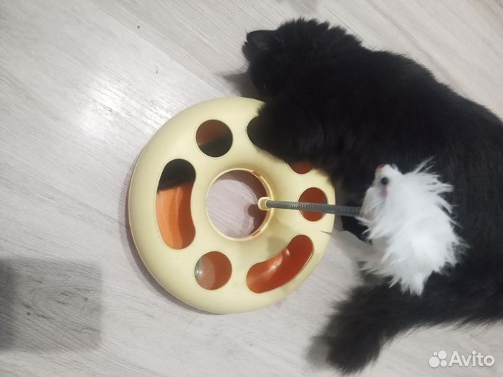 Игрушки для кошек