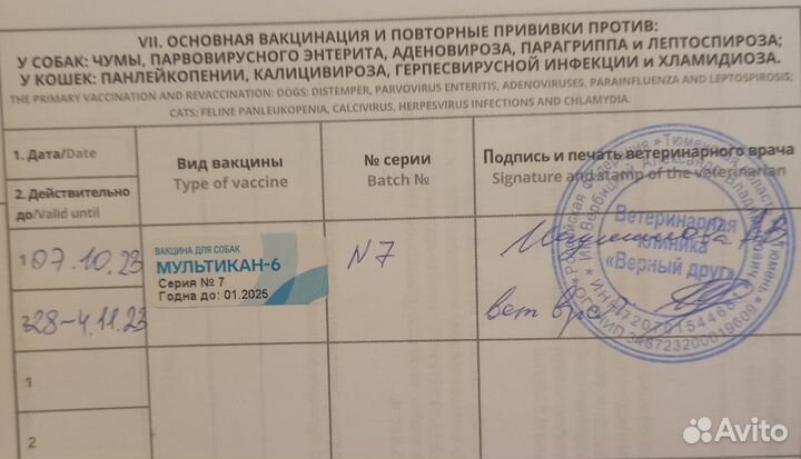 Йоркширский терьер щенки