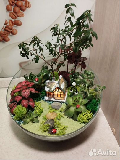 Флорариум, моссариум, композиция, цветы