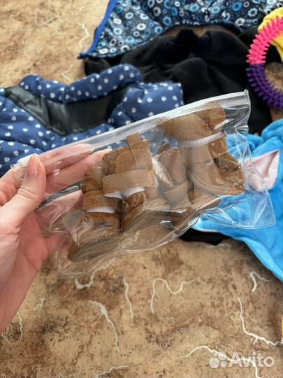 Одежда, товары для собак