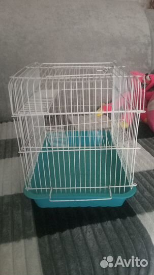 Клетка для грызунов бу