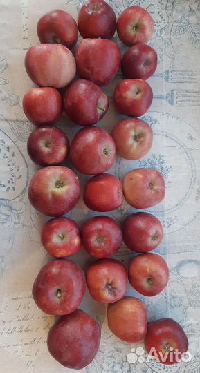 Яблоки
