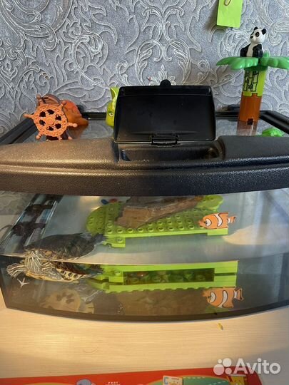 Черепаха с аквариумом