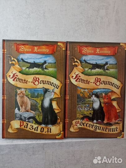 Коты воители