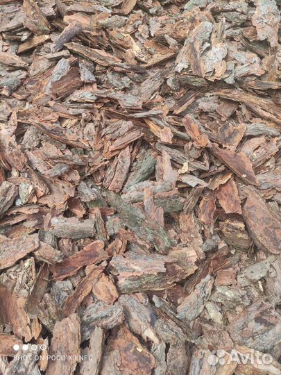 Кора сосны мульча