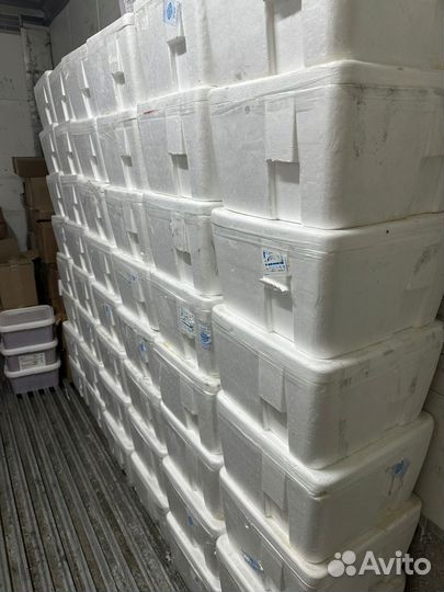 Икра красная оптом