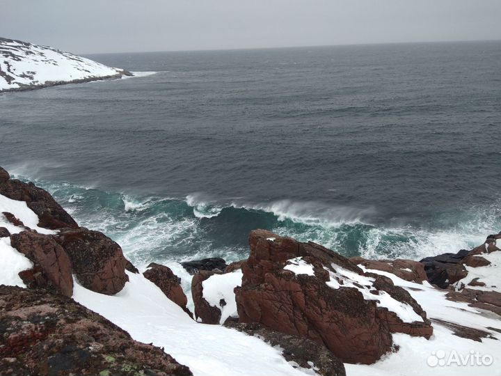 Выход в море и поиск китов