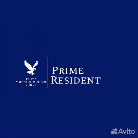 Получение РВП, ВНЖ, нря, Гражданство РФ