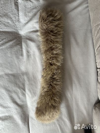 Мех песец