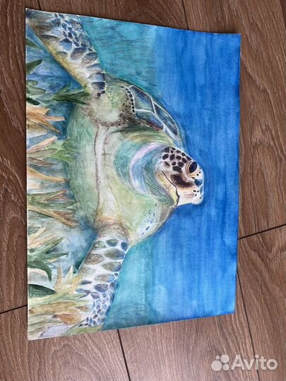 Черепаха в водном мире