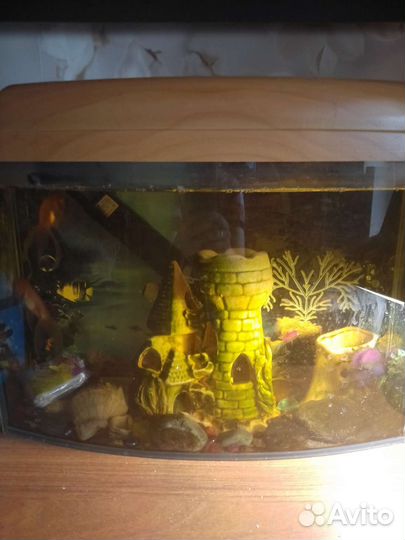 Аквариум