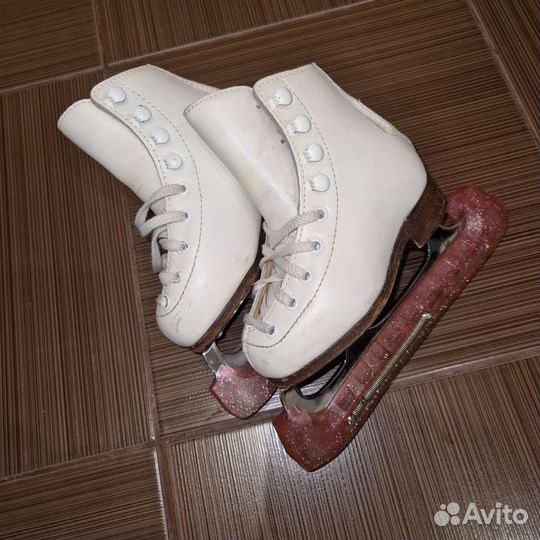 Коньки Wifa prima set 24