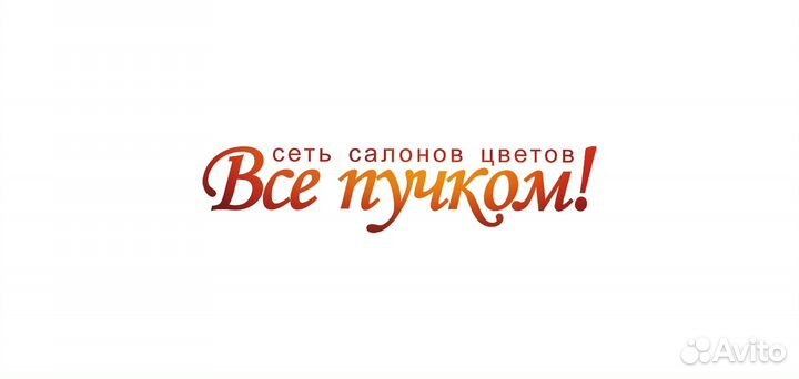Оператор сайта
