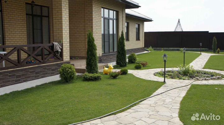 Рулонный газон стандартный