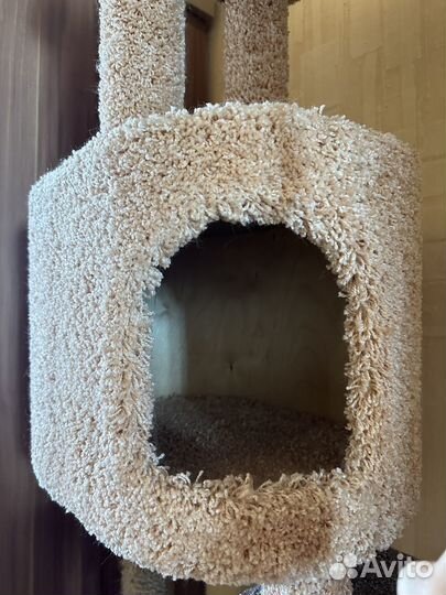 Когтеточка