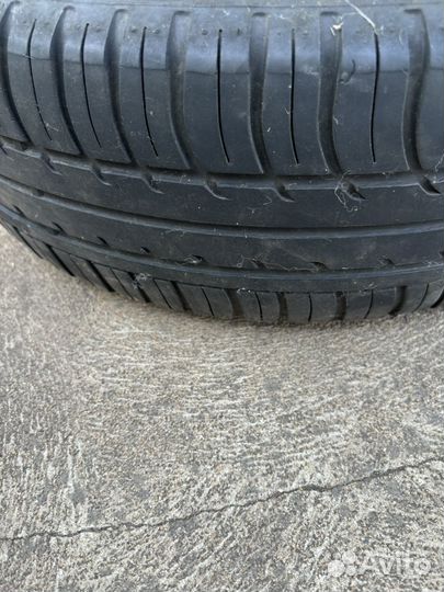 Белшина Бел-257 175/65 R14