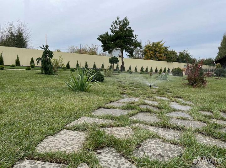 Рулонный газон