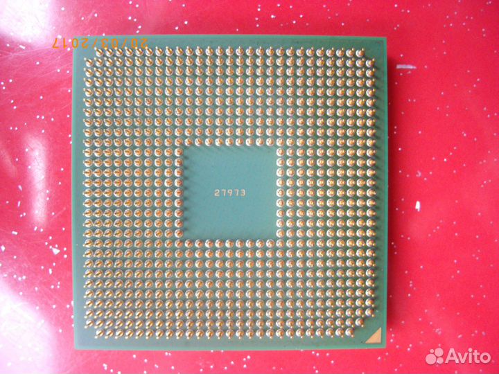 AMD Sempron и Intel pentium