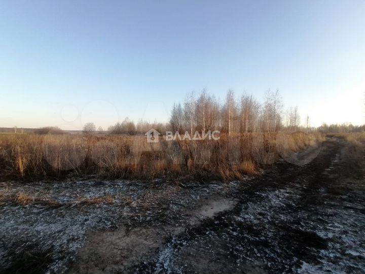 Участок 5,06 га (СНТ, ДНП)