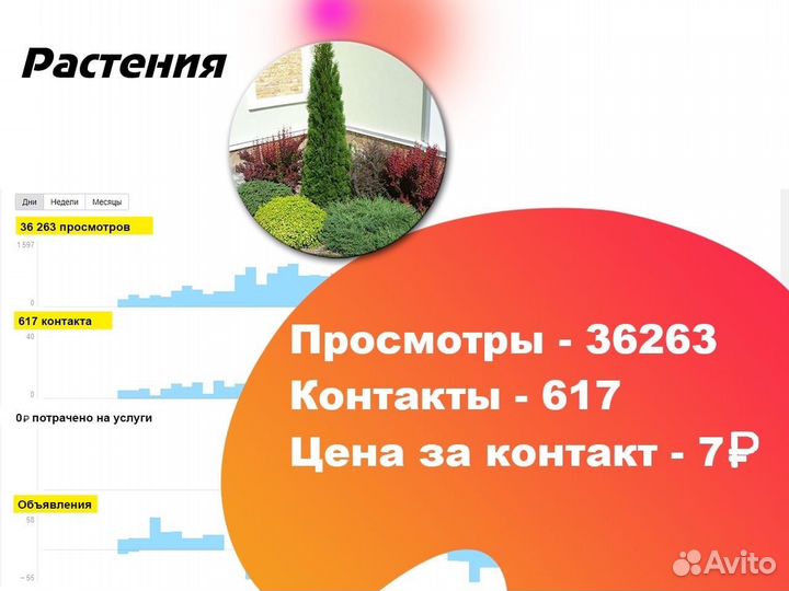 Надёжный Авитолог/специалист по Авито