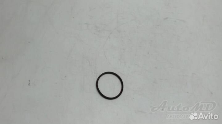 Кольцо уплотнительное тнвд Fiat Ducato