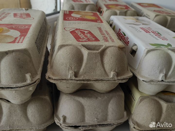 Лотки от яиц