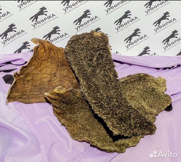 Лакомства для собак/Лакомства для дрессировки