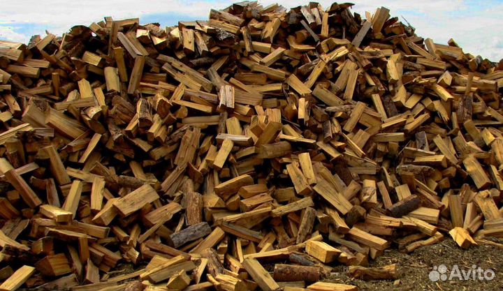 Дрова Осиновые