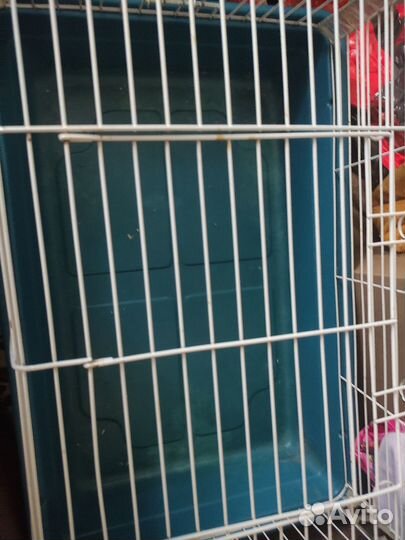 Клетка, колесо, мешочки