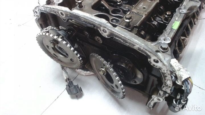 Головка блока (гбц) Ford Transit 2014, 2015