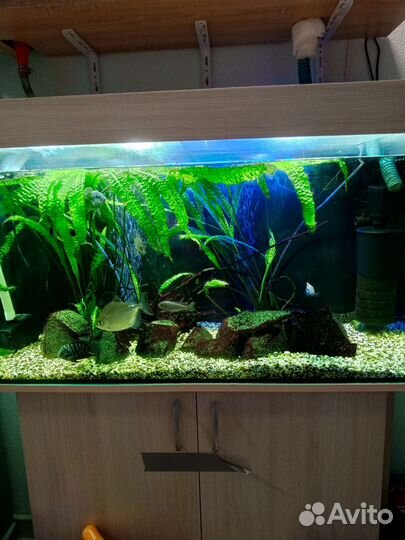 Аквариум с тумбой 180 литров