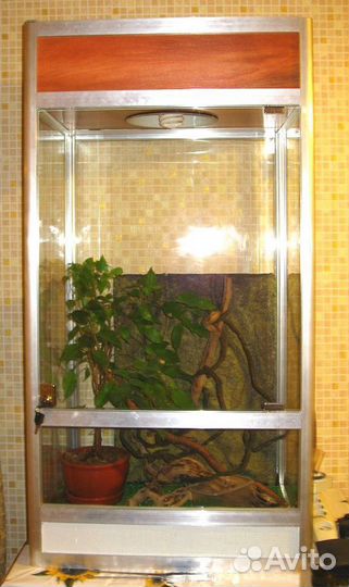 Террариум для игуаны, хамелеона