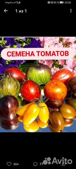 Семена помидоров томатов