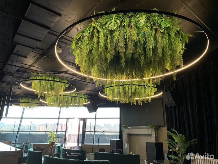 Фитостены, фитопанно и потолочное озеленение