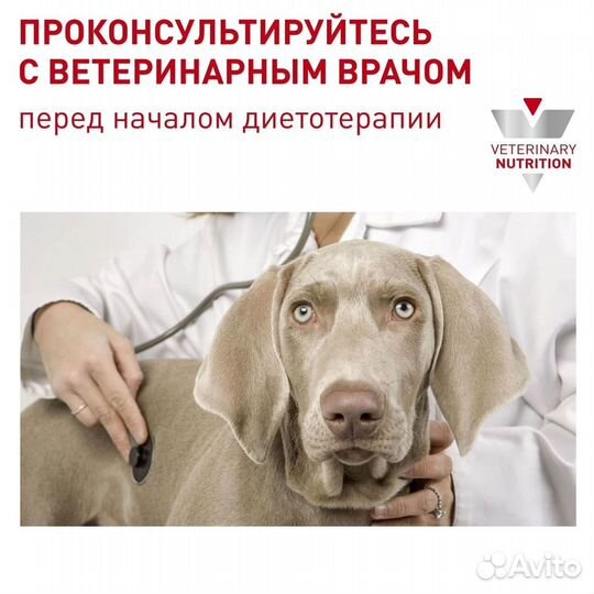 Royal Canin (вет.корма) для кастрированных собак с