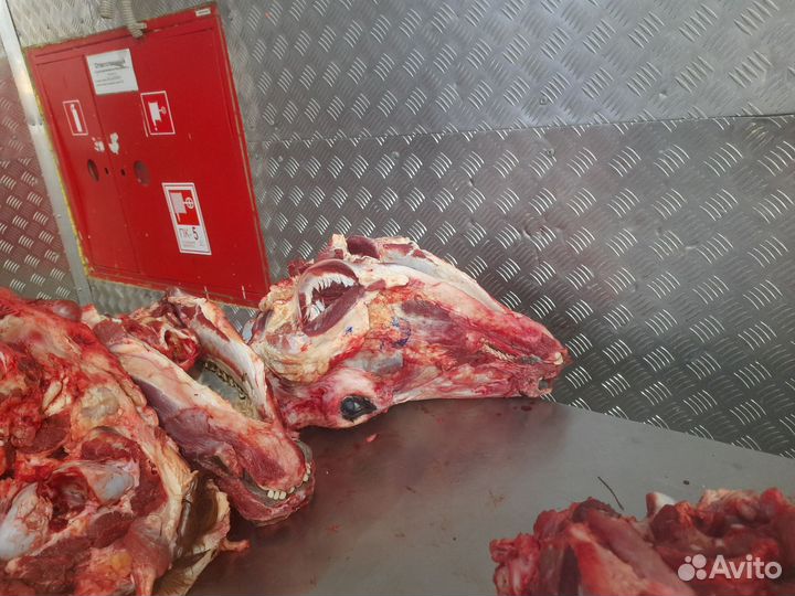 Головы говяжьи