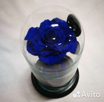 Синяя роза в колбе, бутон 12-14 см, арт 32