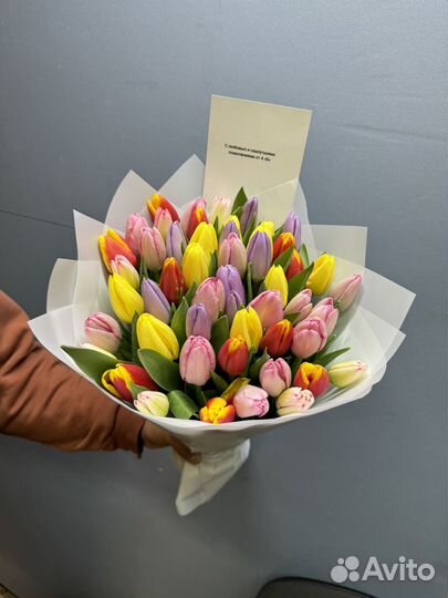 Цветы тюльпаны