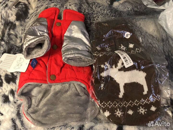 Новая однжда для собак