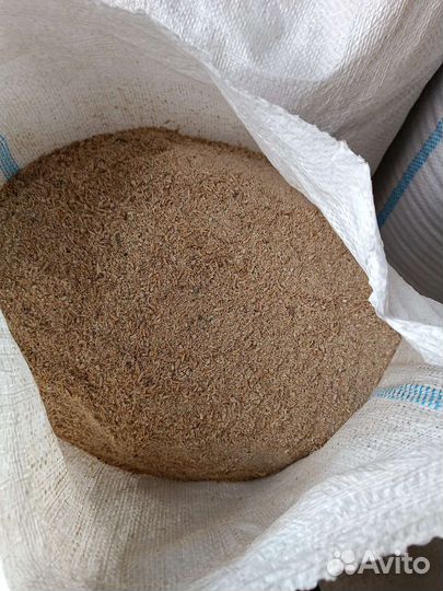 Пшеница ячмень