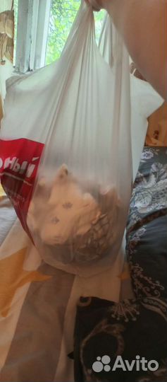 Вещи пакетом на мальчика 62