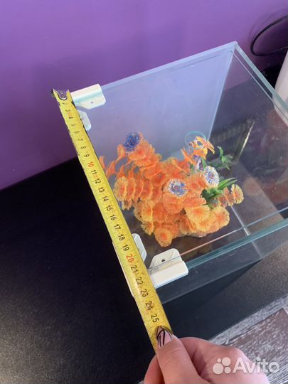 Аквариум 5 литров