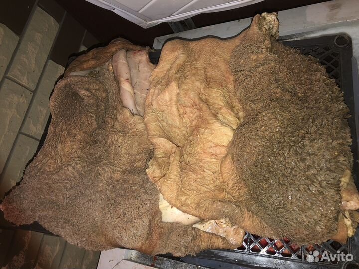 Мясо говядина для собак