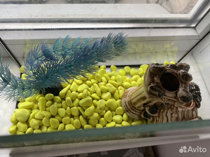 Аквариум для рыбок