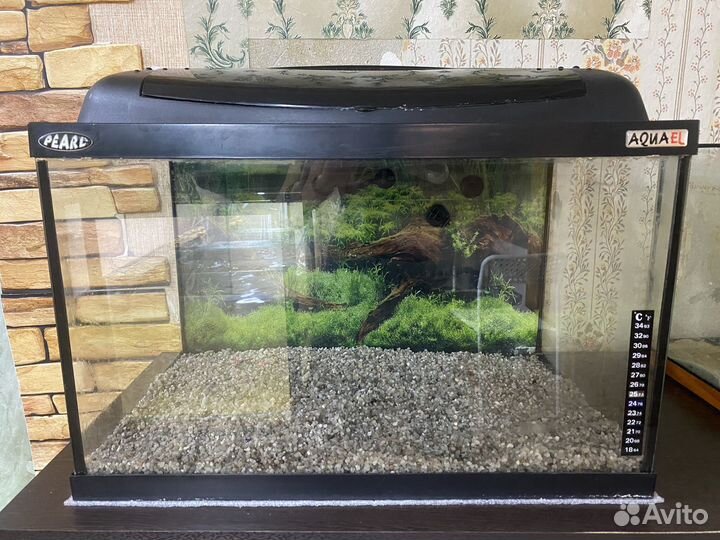 Аквариум
